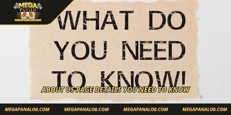 About us page details you need to know