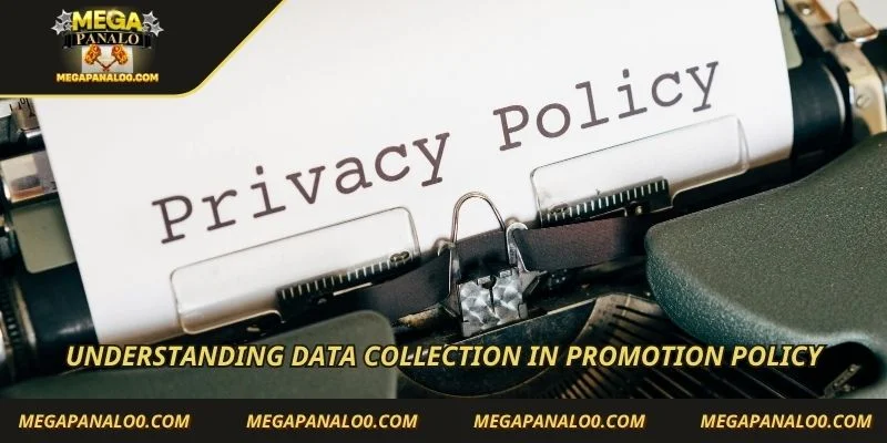 Understanding data collection in promotion policy