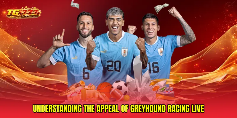 Understanding the appeal of Greyhound racing live