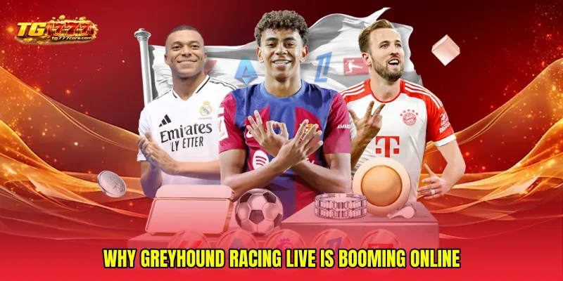 Why Greyhound racing live is booming online